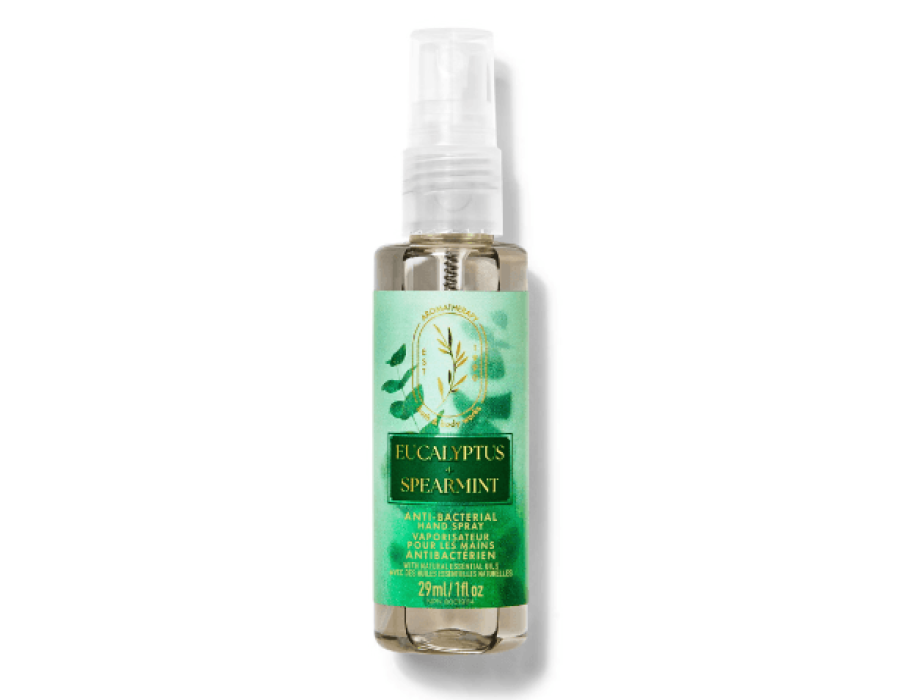 Compare Bath and Body Works Hand Sanitizer Prices in UAE - 2026